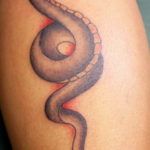 Фото красивые тату змеи 12.08.2019 №087 - beautiful snake tattoos - tatufoto.com