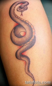 Фото красивые тату змеи 12.08.2019 №087 - beautiful snake tattoos - tatufoto.com