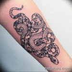 Фото красивые тату змеи 12.08.2019 №088 - beautiful snake tattoos - tatufoto.com