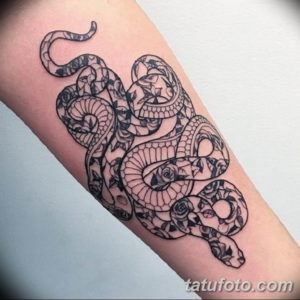 Фото красивые тату змеи 12.08.2019 №088 - beautiful snake tattoos - tatufoto.com
