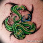 Фото красивые тату змеи 12.08.2019 №089 - beautiful snake tattoos - tatufoto.com