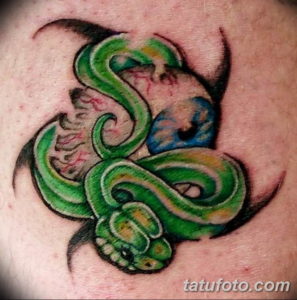 Фото красивые тату змеи 12.08.2019 №089 - beautiful snake tattoos - tatufoto.com