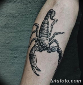 Фото красивые тату знаки 12.08.2019 №036 - beautiful tattoo signs - tatufoto.com