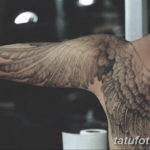 Фото красивые тату крылья 12.08.2019 №030 - beautiful tattoo wings - tatufoto.com