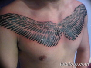 Фото красивые тату крылья 12.08.2019 №031 - beautiful tattoo wings - tatufoto.com