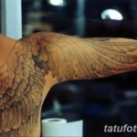 Фото красивые тату крылья 12.08.2019 №052 - beautiful tattoo wings - tatufoto.com