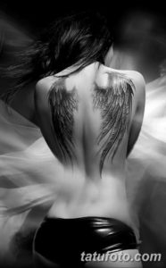 Фото красивые тату крылья 12.08.2019 №055 - beautiful tattoo wings - tatufoto.com