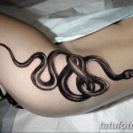Фото красивые тату на бедре 12.08.2019 №101 - beautiful tattoos on the hip - tatufoto.com