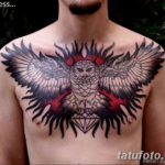 Фото красивые тату на груди 12.08.2019 №022 - beautiful tattoos on the chest - tatufoto.com