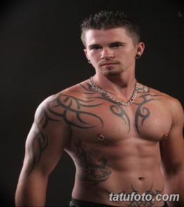 Фото красивые тату на груди 12.08.2019 №049 - beautiful tattoos on the chest - tatufoto.com