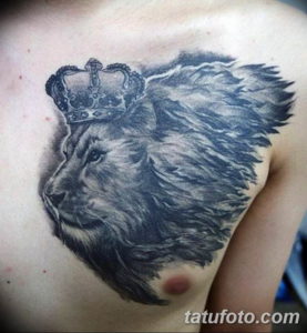 Фото красивые тату на груди 12.08.2019 №058 - beautiful tattoos on the chest - tatufoto.com