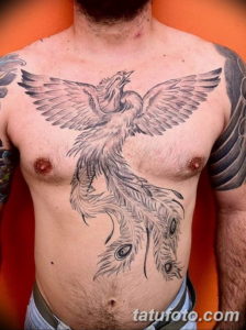 Фото красивые тату на груди 12.08.2019 №087 - beautiful tattoos on the chest - tatufoto.com