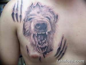 Фото красивые тату на груди 12.08.2019 №105 - beautiful tattoos on the chest - tatufoto.com