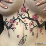 Фото красивые тату на животе 12.08.2019 №057 - tattoos on the stomach - tatufoto.com