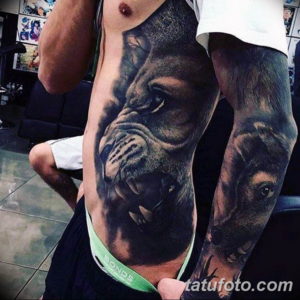 Фото красивые тату на животе 12.08.2019 №101 - tattoos on the stomach - tatufoto.com