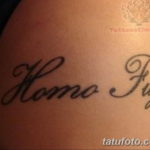 Фото красивые тату на латыни 12.08.2019 №013 - beautiful tattoos in latin - tatufoto.com