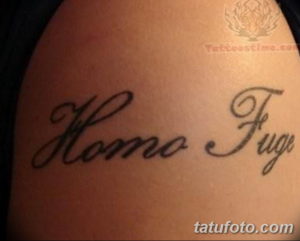 Фото красивые тату на латыни 12.08.2019 №013 - beautiful tattoos in latin - tatufoto.com