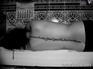 Фото красивые тату на латыни 12.08.2019 №025 - beautiful tattoos in latin - tatufoto.com