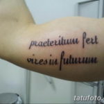 Фото красивые тату на латыни 12.08.2019 №053 - beautiful tattoos in latin - tatufoto.com