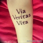 Фото красивые тату на латыни 12.08.2019 №059 - beautiful tattoos in latin - tatufoto.com