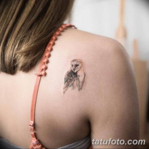 Фото красивые тату на лопатке 12.08.2019 №029 - tattoos on the shoulder bla - tatufoto.com