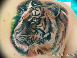 Фото красивые тату на лопатке 12.08.2019 №030 - tattoos on the shoulder bla - tatufoto.com