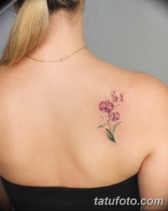 Фото красивые тату на лопатке 12.08.2019 №054 - tattoos on the shoulder bla - tatufoto.com