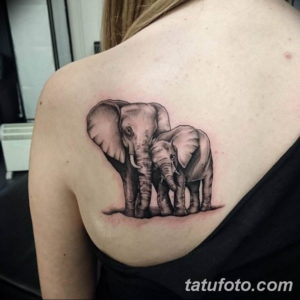 Фото красивые тату на лопатке 12.08.2019 №057 - tattoos on the shoulder bla - tatufoto.com
