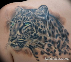 Фото красивые тату на лопатке 12.08.2019 №062 - tattoos on the shoulder bla - tatufoto.com
