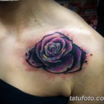 Фото красивые тату на плече 12.08.2019 №042 - beautiful tattoos on the shoul - tatufoto.com