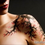 Фото красивые тату на плече 12.08.2019 №048 - beautiful tattoos on the shoul - tatufoto.com