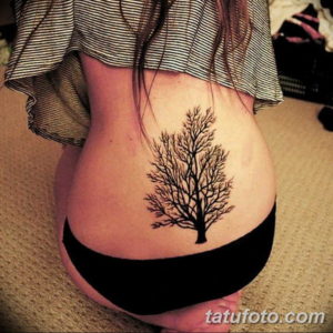 Фото красивые тату на пояснице 12.08.2019 №043 - tattoos on the lower back - tatufoto.com