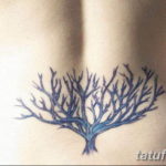 Фото красивые тату на пояснице 12.08.2019 №045 - tattoos on the lower back - tatufoto.com