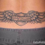 Фото красивые тату на пояснице 12.08.2019 №061 - tattoos on the lower back - tatufoto.com