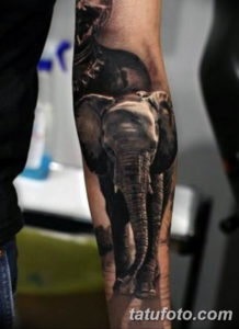 Фото красивые тату на предплечье 12.08.2019 №054 - tattoos on the forearm - tatufoto.com