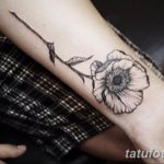 Фото красивые тату на предплечье 12.08.2019 №086 - tattoos on the forearm - tatufoto.com