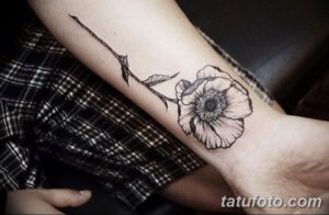 Фото красивые тату на предплечье 12.08.2019 №086 - tattoos on the forearm - tatufoto.com