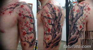 Фото красивые тату на руке 12.08.2019 №074 - beautiful tattoos on the arm - tatufoto.com