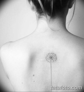 Фото красивые тату на спине 12.08.2019 №024 - beautiful tattoos on the back - tatufoto.com