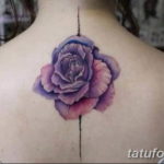 Фото красивые тату на спине 12.08.2019 №039 - beautiful tattoos on the back - tatufoto.com