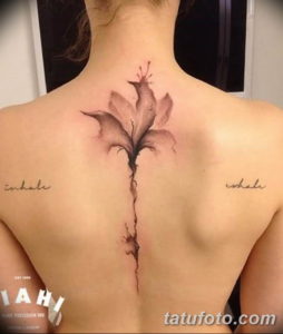 Фото красивые тату на спине 12.08.2019 №078 - beautiful tattoos on the back - tatufoto.com