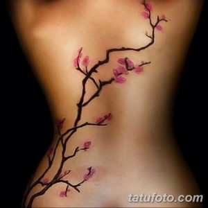 Фото красивые тату на спине 12.08.2019 №094 - beautiful tattoos on the back - tatufoto.com