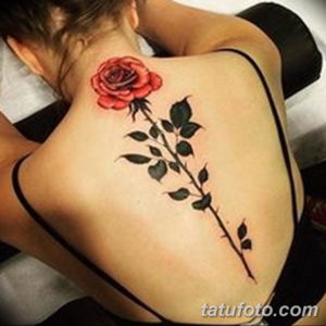 Фото красивые тату на спине 12.08.2019 №113 - beautiful tattoos on the back - tatufoto.com