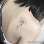 Фото красивые тату на спине 12.08.2019 №117 - beautiful tattoos on the back - tatufoto.com