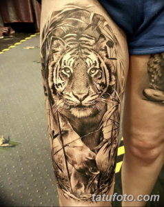 Фото красивые тату тигр 12.08.2019 №001 - beautiful tiger tattoos - tatufoto.com