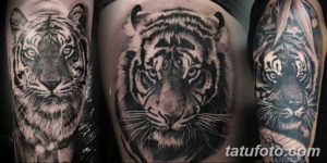 Фото красивые тату тигр 12.08.2019 №003 - beautiful tiger tattoos - tatufoto.com