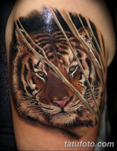 Фото красивые тату тигр 12.08.2019 №005 - beautiful tiger tattoos - tatufoto.com