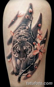 Фото красивые тату тигр 12.08.2019 №007 - beautiful tiger tattoos - tatufoto.com