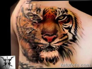 Фото красивые тату тигр 12.08.2019 №009 - beautiful tiger tattoos - tatufoto.com
