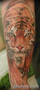 Фото красивые тату тигр 12.08.2019 №012 - beautiful tiger tattoos - tatufoto.com